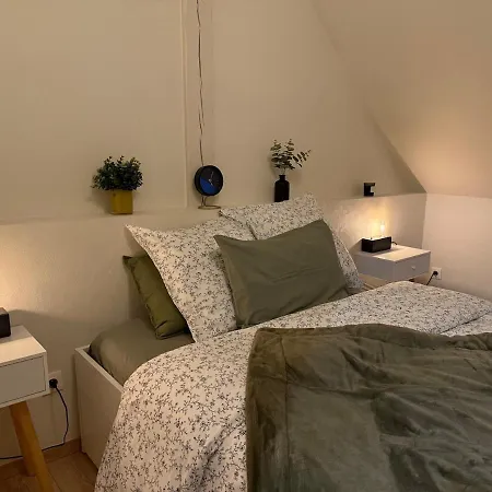 Proche Centre Avec Parking Apartment Colmar
