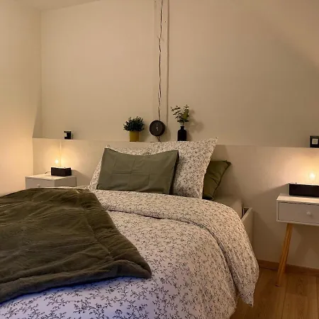 Proche Centre Avec Parking * קולמר