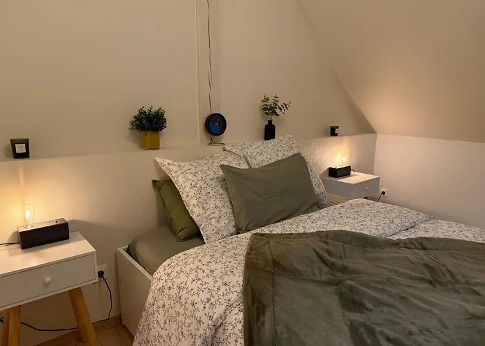 Proche Centre Avec Parking Apartamento Colmar